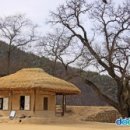 삼강