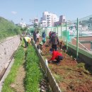 명정동주민센터 이미지