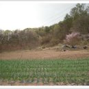 칠갑산가든 이미지