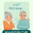 오십견? 회전근개파열? 비슷하지만 다른 원인‧증상 & 치료법 이미지