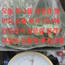심봤다약초2