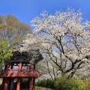 덕천서원화장실 이미지