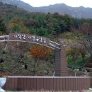 만추 (해남 가학산 자연휴양림)