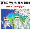 경기도 안산 130평 토지 매매 이미지