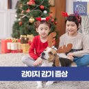 율하시티동물병원 이미지