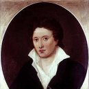 베아트리체 이미지