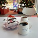 당진 장고항 카페 서해바다뷰 트리 맛집 장고목