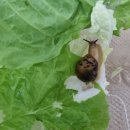 하모니 당구장 이미지