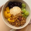 도봉-도봉-서울도봉-2307 | 덕성여대 도봉구 그릭요거트 맛집 이요 내돈내산 후기