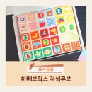 똑똑블럭 | 아기 자석큐브 블록 하베브릭스 꼬마몬테 똑똑큐브 후기