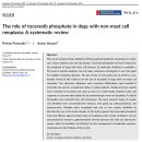 도곡치유동물병원 이미지