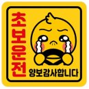 모월 모시