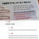 곰이불집