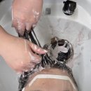 오땡큐천연염색헤어샵 | [뷰티다다] 안산 헤어샵 헤어썸 고잔 염색잘하는 곳 아베다염색 아베다탈색 발레아쥬