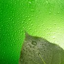 보창한의원 이미지