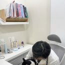 성포마루한방병원 | 문현동 동물병원 고양이 물먹고 기침한다면 반드시 확인해야 할 3가지