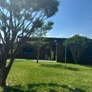 옐레드 애견유치원 & 애견호텔 진주초전점 이미지