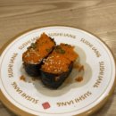 스시이안 이미지