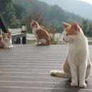 상주힐링별장 이미지