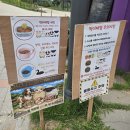 가평베고니아새정원 내돈내산 다녀온후기