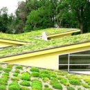 자연을 살리고 경관을 아름답게 조경설계의 힘 green wall(그린월)! 이미지