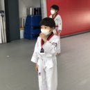 아리랑 멋 타리 태권도장 이미지