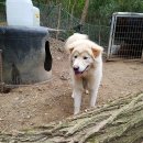 울산농장 이미지