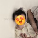 수도로4L | 6개월 아기 있는 집 가습기 내돈내산, 홈플래닛 초음파 가습기 4L 사용 후기