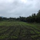 세한농장 이미지