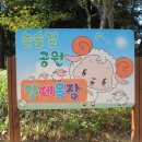 공원동태탕 이미지