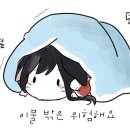 쎄짐 이미지