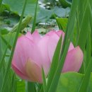 운대2리 이미지