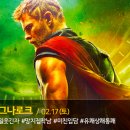 토르헤어 이미지