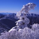 춘하추동 이미지