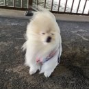 P-5L01 | 1월 위시리스트 with 무신사 클리어런스 위크 01.19 - 01.29