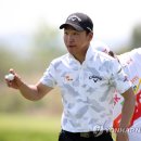 버디텔레콤 이미지