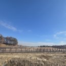 황금누리농장 이미지