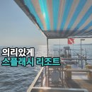 스플래시리조트 | 의리있게 제주도 스쿠버다이빙 - 스플래시 리조트