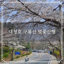 선경자전거 | 청주 대청호 구룡산 벚꽃산행 대청댐전망대 원점회귀 등산코스