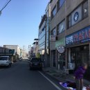 양백인삼사