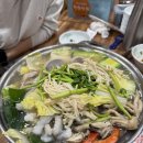 착한낙지홍도점 | 대전 맛집, 착한낙지 홍도점 연포탕 후기
