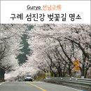 전남구례 섬진강 벚꽃 명소 드라이브 길 남도대교까지