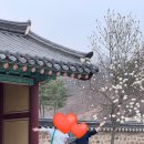라미체피부관리실