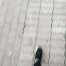 보올