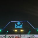 고려대학교 | 2025 고려대학교 가을 축제 후기 : 너드커넥션, 쏜애플, 그리고...