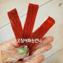 오징어파는언니안산점