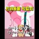 반려라이프 티스토리