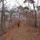 2박3일 (만수산, 무량사, 불갑산, 장성 축령산 여행) 이미지