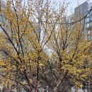 인천지하철1호선 지식정보단지역 이미지