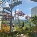 동덕한의원 이미지